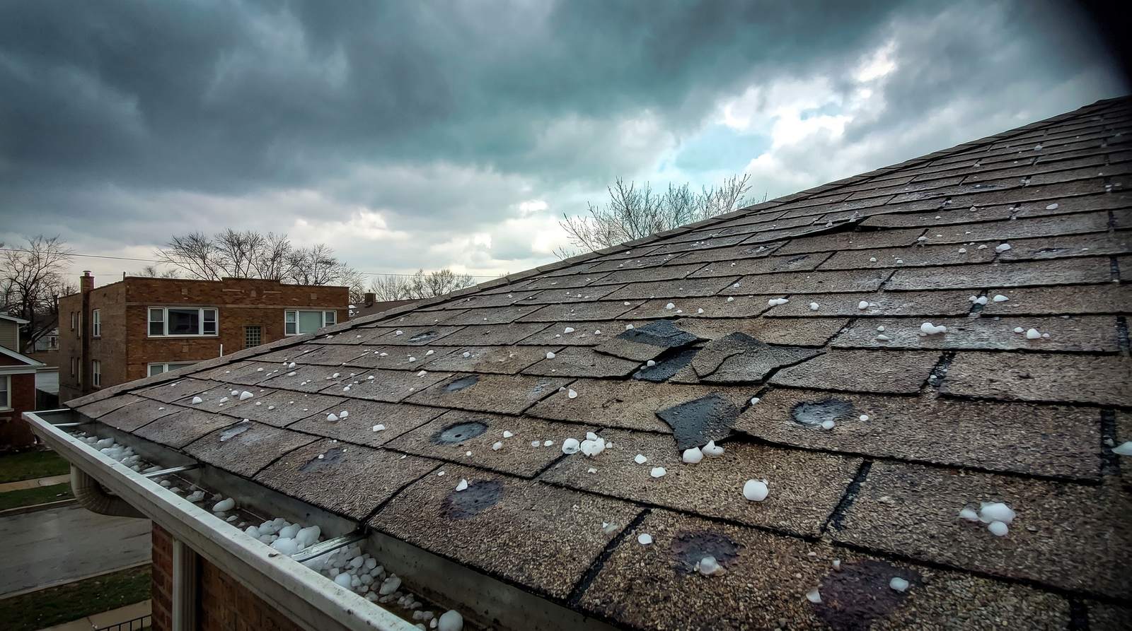 Hailstones and impact damage across an asphalt shingle roof in Chicago after a storm